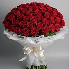 Букет 101 Красная роза Блэк Мэджик в Придорожной