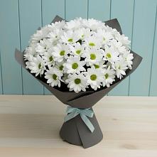 Букет цветов из:  Хризантемы #REPLACE_PRED# Придорожной