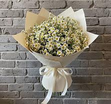 Букет цветов из:  Ромашки #REPLACE_PRED# Придорожной