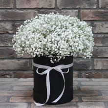 Цветочная композиция из Гипсофила в шляпной коробке #REPLACE_PRED# Придорожной