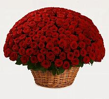 Премиум букет из: Розы в Придорожной