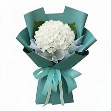 Букет цветов из:  Гортензия #REPLACE_PRED# Придорожной